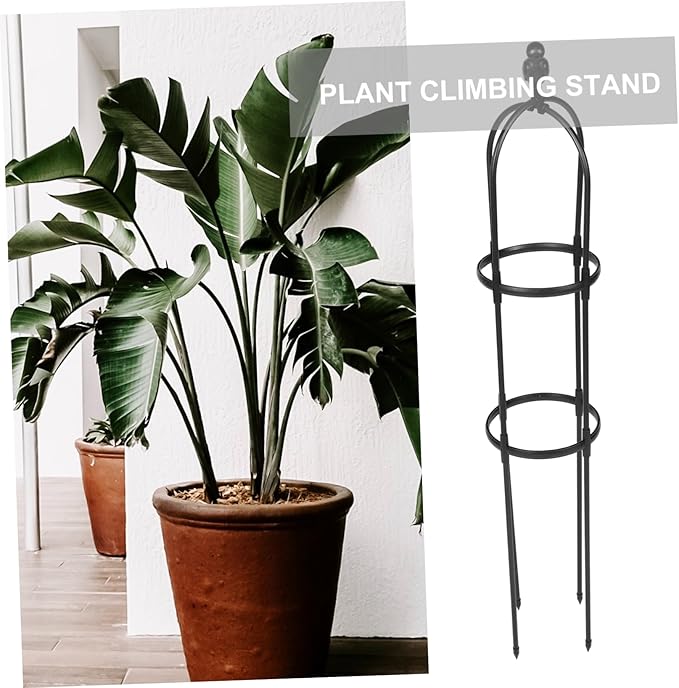 BESPORTBLE Elegant Plant Stakes for Climbing Vines Garden Trellis Strong Support for Potted Plants