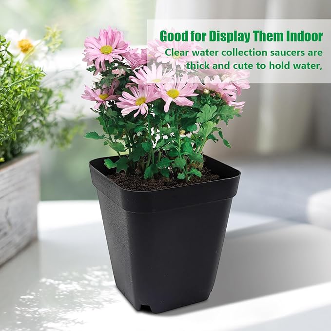Square Nursery pots 4 Inches 60Pcs Seedling Plastic Seeds propogation Growing Pots (Black4Inches60Pcs)