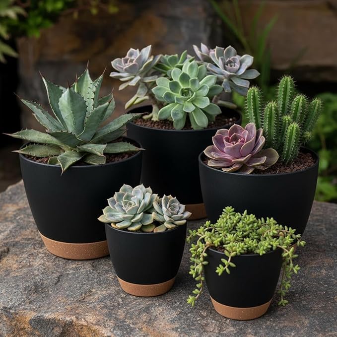 LIFFY Plant Pots 87.576.565.55 Inch Plastic Self Watering Planters with Drainage Holes &amp Saucers 7-Pack Black Nursery Planting Pot with Deep Reservoir for Indoor Outdoor Plants