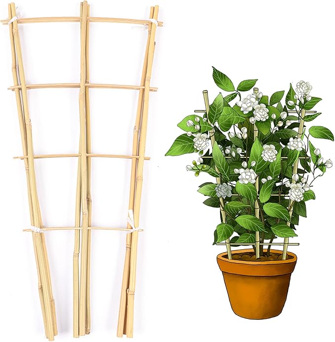 Trellis for Climbing Plants Indoor Outdoor Natural Bamboo Trellis 24 Inch 3 Pack Garden Trellis for Potted Plants Ivy Monstera Houseplants