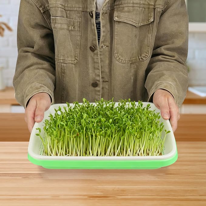 20 Pack 12.6 x 10 x 1.8 inch Microgreens Growing Trays BPA-Free Sprouting Trays Germination Tray for Beans Wheatgrass &amp Microgreens Home Kitchen &amp Garden