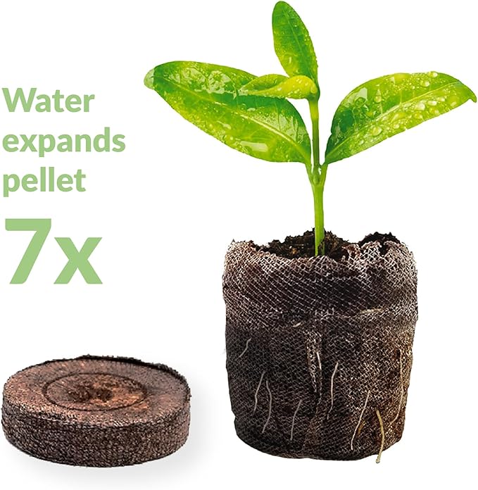 Jiffy Plant Starter Pellets - Compact Organic Seedling Peat Pellets Refill - 42mm 5 Pack Peat Soil