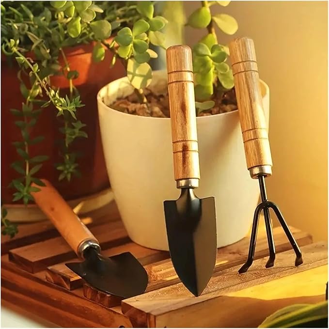 3pcs/Set Garden Tool Set Rake Tip Shovel Large Gardening Mini Succulent Plant Loose Soil Flower Aluminum Alloy Gardenin