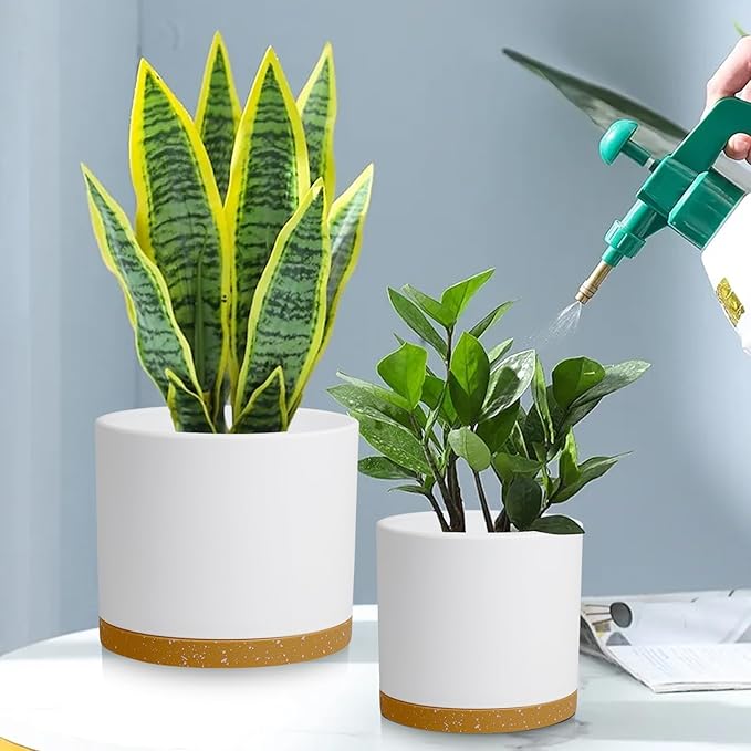 Large Plant Pots Set of 3 – 8 9 10 Indoor Flower Pots with Drainage Holes and Saucers Big Planters for Monstera Fiddle Leaf Fig Snake Plant – 5 Colors
