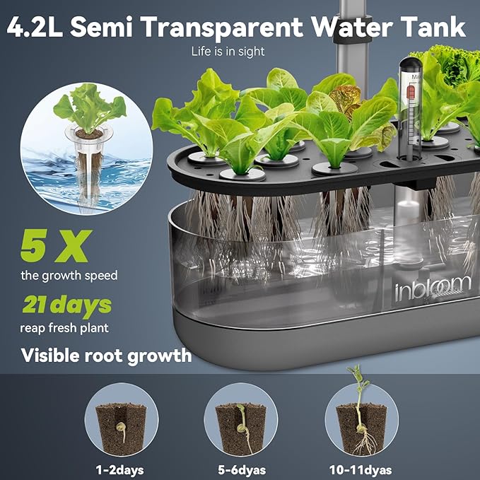 inbloom 12 Pods Hydroponics Growing System Transparent Black and 50 Pcs Grow Sponges for Replacement