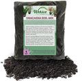 Dracaena Growing Soil Mix – 5 Quarts - Custom Soil Blend – Potting Mix for Dracaena Plants – Specially Developed by and for Professional Nursery Growers - Nutrient-Rich Formula