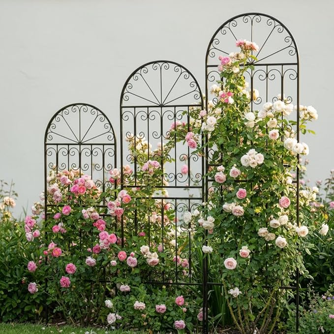 SCENDOR 70.8 H x 24.5 W Decorative Metal Garden Trellis - Rustproof Black Iron Arched Fence for Climbing Roses Clematis and Vines - Sturdy Plant Support for Patio Lawn and Backyard 1 Pack