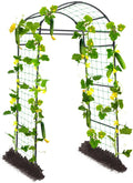 Garden Arch Cucumber Trellis for Climbing Plants Outdoor 6.7ft Tall Archway Arbor Plant Support Grape Vine Tomato Pea Bean Trellis for Raised Bed Backyard Black
