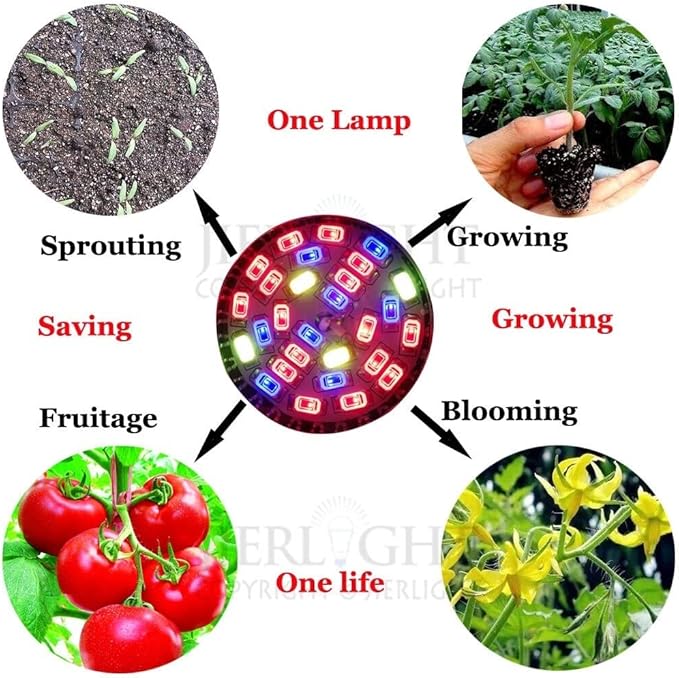 Fengyan Home Bulbs 5W AC85-265V E27 28LEDs Full Spectrum Grow Light Led Grow Lamp Hydroponic Systems Best for Medicinal Plants Growth Flowering 10 PCS / Pack Household Lamp ( Emitting Color : Blue )