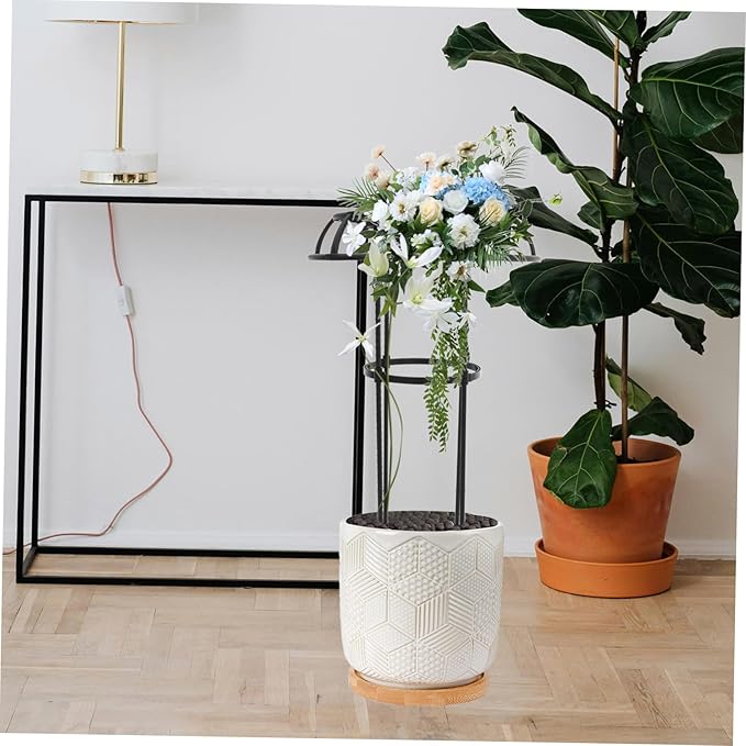 Garden Trellis Climbing Frame for Plants Metal Support Structure for Vines Potted Plant Accessories Decorative Iron Design for Use