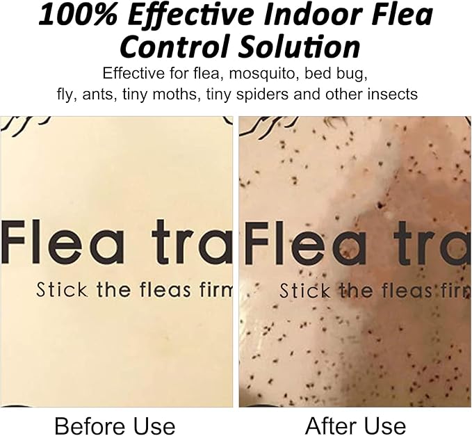 Flea Traps for Inside Your Home 2 Pack Flea Trap with Sticky Pads Refills &amp Light Bulb Replacement Odorless Natural Indoor Bed Bug Light Killer Insect Infestation Treatment Trap for Kids Pet