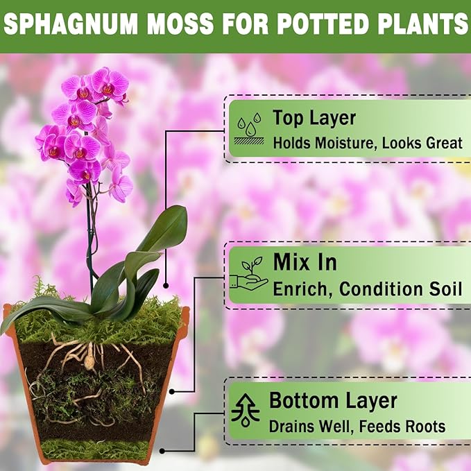ZeeDix 3-Pack Premium Sphagnum Moss - 3.3 lb Orchid Moss Plant Growing Medium for Terrariums Orchids Carnivorous Succulents &amp Reptile Habitat Substrate