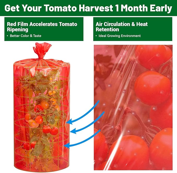 Red Greenhouse Film for Tomatoes 4Mil 4x50FT Tomato Cage Covers with Cable Ties UV Resistant Red Plastic Film for Early Harvest Easy DIY Installation Protect Plants Against Pests and Harsh Weather
