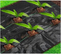 1pcs PE Agricultural Anti Grass Cloth Farm-Oriented Weed Barrier Mat Plastic Mulch Thicker Orchard Garden Weed Control Fabric(1m Width 15M Length)