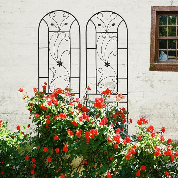 Sturdy Metal Garden Trellis for Climbing Plants – Rust-Resistant Outdoor Flower Support with Elegant Peacock Design (2 Pack)