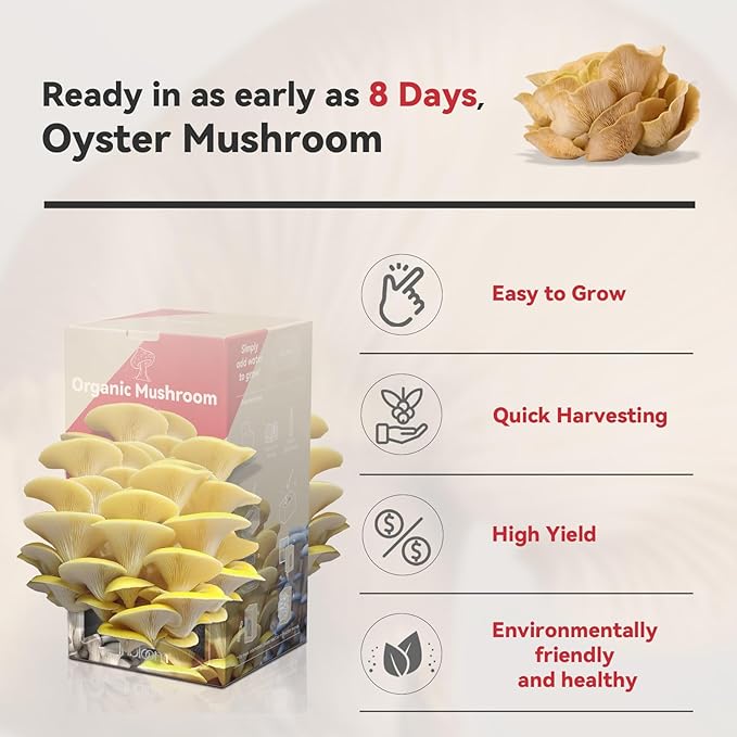 inbloom Organic Golden Oyster Mushroom Growing Kit with Spray Harvest Fresh Mushrooms at Home Beginner Friendly &amp Easy to Use Unique Gardening Gift for Holiday Handmade in New Jersey USA