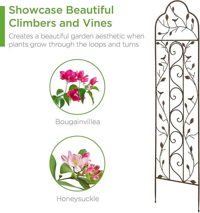 Best Choice Products 60x15in Iron Garden Trellis Arched Outdoor Decoration w/Branches Birds for Lawn Garden Backyard Climbing Plants - Bronze