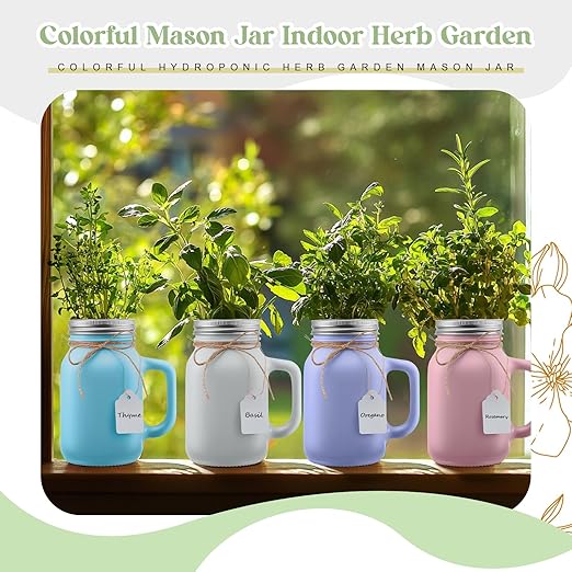 Vesici 6 Set Hydroponic Mason Garden Jar Kit Self Watering Herb Hydroponic Planter Starter Kit with Net Pot for Indoor Herbs Windowsill Garden Flower Plant Growing Germination