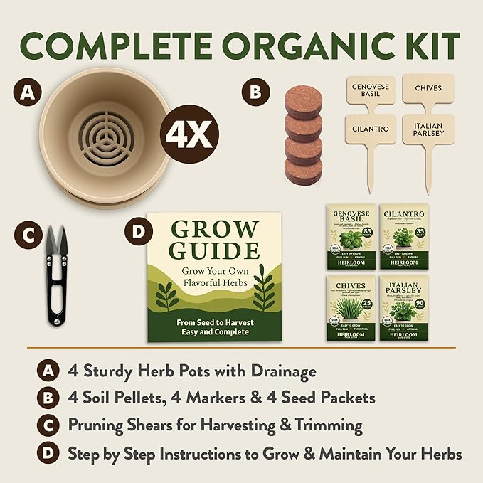 HOME GROWN Indoor Organic Herb Garden Kit Unique Valentines Day Gift for Adults Men &amp WomenGrow 4 Herb Seeds for Kitchen Window GardenBeginner DIY Hobby Gardening Gift for Plant Lovers Mom &