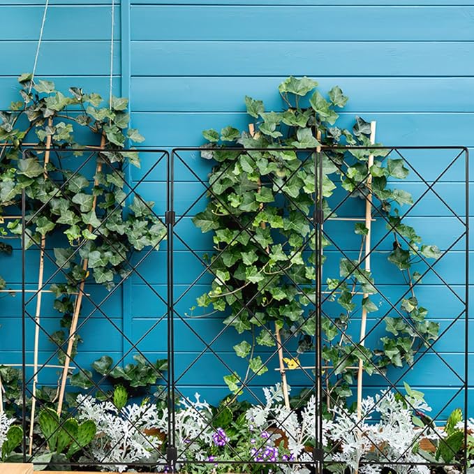 Kisangel 2pcs Iron Plant Support Trellis for Garden Climbing Plants Small Indoor Outdoor Tomato Cage Rack Stake Structure