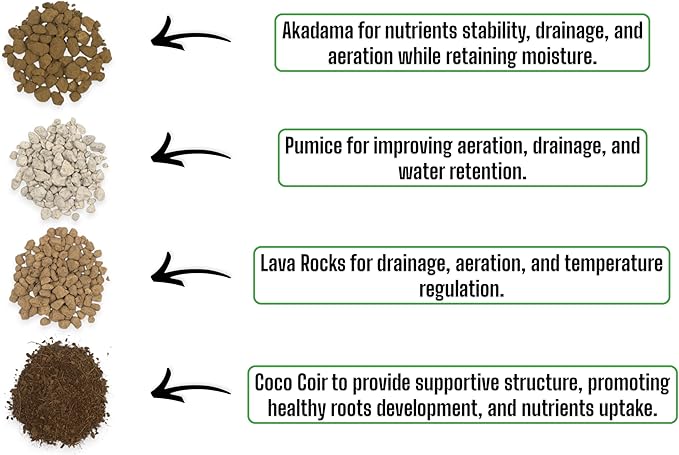 Bonsai Soil Mix with Akadama Pumice Lava Rocks and Organic Coco Coir for Tree Growth and Maintenance