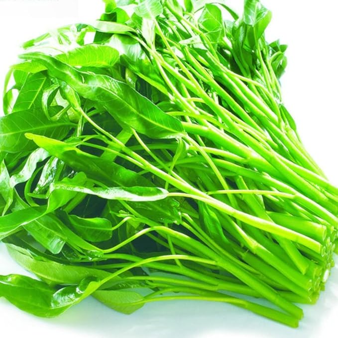 2000+ Seeds Kangkong Seeds - Rau Muong Ong Choy Brown - Chinese Spinach - Cong Xin CAI Seeds kangkung Seeds for Planting