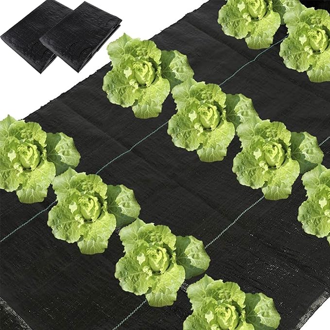 MOTUZP 4Pcs Garden Weed Barrier Landscape Fabric with 3'' Planting Holes 3.3 Ft X 11.8 Ft Heavy-Duty Weed Block Gardening Mat Soil Erosion Control and UV Stabilized