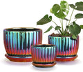 Ton Sin Flower Pots Purple Ceramic Plant Pots Set of 3Small Glazed Succulent Pots with Drainage HoleCactus Planter with SaucerOutdoor Garden Pots (Colorful Gold)