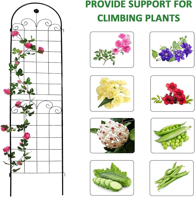 4 Pack Black Metal Garden Trellis for Climbing Plants Outdoor Plant Support Rose Trellis Netting Design for Garden Screen Patio Practical