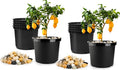 5 Gallon Pots with 20lbs Rocks 12 Inch Plastic Nursery Pots with Drainage Holes Round Sturdy Garden Pots with Stones Deep Nursery Pots for Plants Gardening Gifts for Women (10-Pack Black)