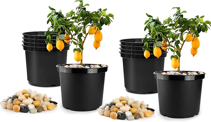 5 Gallon Pots with 20lbs Rocks 12 Inch Plastic Nursery Pots with Drainage Holes Round Sturdy Garden Pots with Stones Deep Nursery Pots for Plants Gardening Gifts for Women (10-Pack Black)