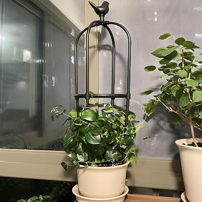 Garden Trellis for Climbing Plants Metal Obelisk Flowers Stand Tomato Cage Plant Support Metal Pipe for Vines Flower Climbing Rose Clematis Vegetable Tomato Trellis(White40x125cm)