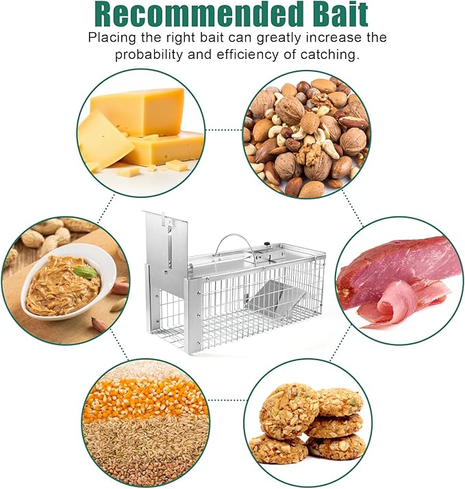 Live Animal Cage Trap Durable Humane Animal Trap for Squirrels Weasels Chipmunks and Small Animals Easy Catch &amp Release (1 Trap)