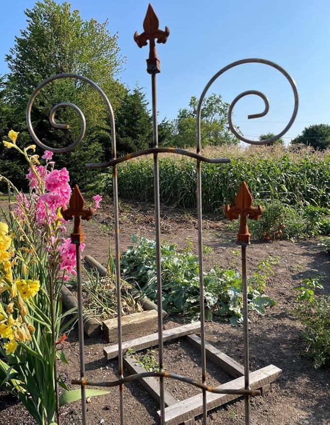 Rustic Wrought Iron Garden Trellis – Decorative Climbing Vine Support with Finial Top – Heavy-Duty Uncoated Metal for Natural Patina – Handcrafted Vertical Plant Frame for Outdoor Landscaping (71)