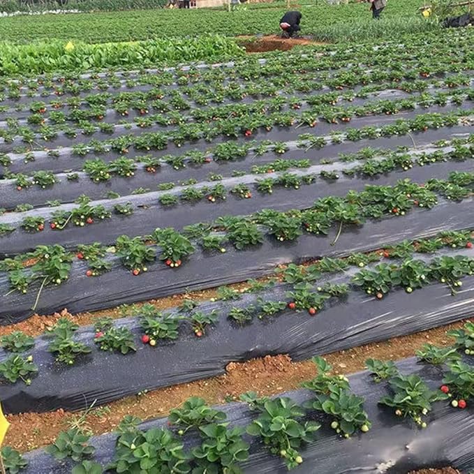 20m Agriculture Black Weed Control Film 0.6~2m Thick 0.008mm Greenhouses Vegetable Planting Plastic Mulching Film1pcs (Size : Width 1.2m)