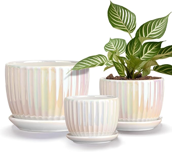 Ton Sin White Plant PotsPearl Gold Ceramic Flower Pots 4+5+6 Inch Indoor Succulent Pot with Drainage Hole - Decorative Orchid Pots and Herb Pots Set of 3