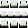 10Pcs Air Filters for Shindaiwa EB802 EB802RT EB8520 EB8520RT EB854 EB854RT EB8510 EB8510RT Blowers Replace 68242-82120 A226000530