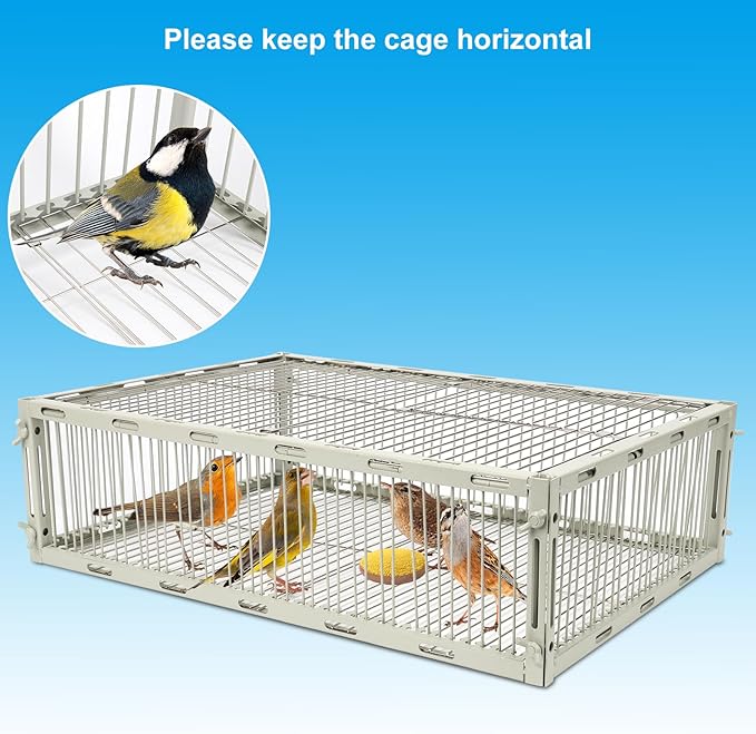 Universal Sparrow Trap Cage – Birds Trap Cage with Escape-Proof Design One Way Bird Catcher Traps for Starlings Quail Cardinals and So OnMade from Rust-Resistant Metal for Long-Lasting Use