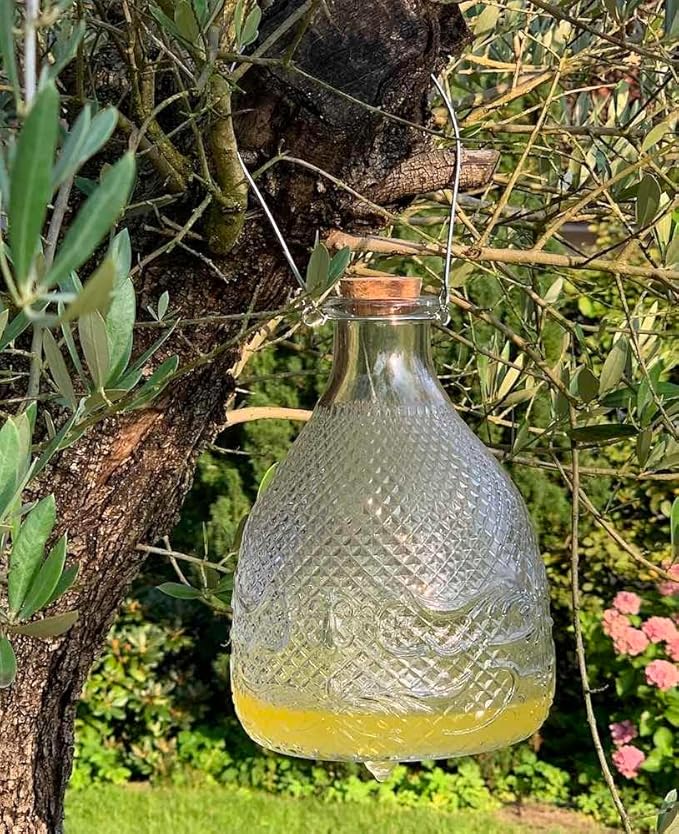 Esschert Design EG21 Wasp Trap Clear Hobnail Glass Large 8.75 H