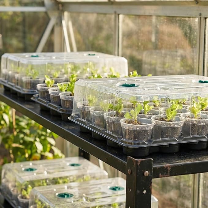 homenote 3 Inch Seed Starting Trays with Humidity Domes for Plants 4 Pack 20-Cell Seedling Starter Trays Plant Starter Germination Trays for Pots Seedlings for Indoor Outdoor Fits 3 Nursery Pots