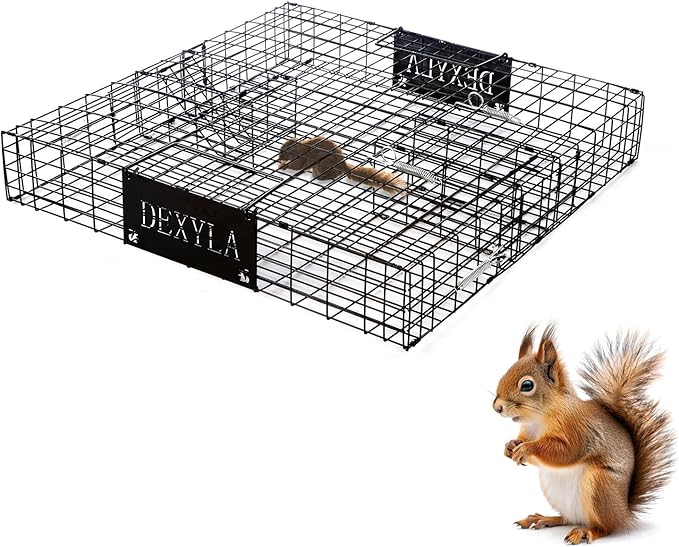 Squirrel TrapHumane Catch and ReleaseCan Catch Multiple Squirrels or Chipmunks at Once