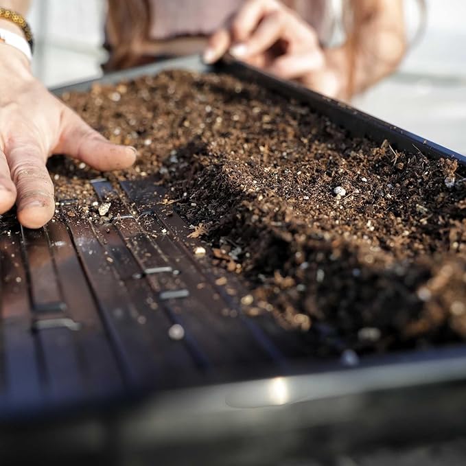 Bootstrap Farmer Microgreen 1020 Trays Shallow Extra Strength 10 Pack Seed Tray with Holes - Grow Fodder Wheatgrass Sprouting Plants Growing
