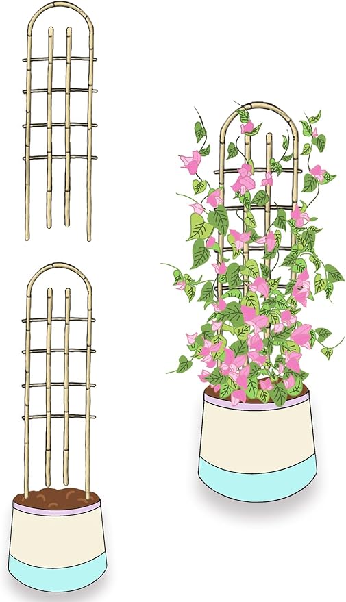 Bamboo TrellisU-Shape Bamboo Trellis3Feet3packTrellis for Climbing Plants Outdoor BambooforClimbing PlantsTomato VegetablesFlowers Beans CucumberIndoor Potted Climb Plants