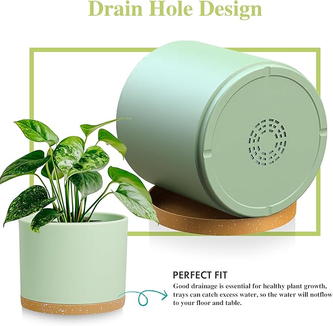 Large Plant Pots Set of 3 – 8 9 10 Indoor Flower Pots with Drainage Holes and Saucers Big Planters for Monstera Fiddle Leaf Fig Snake Plant – 5 Colors