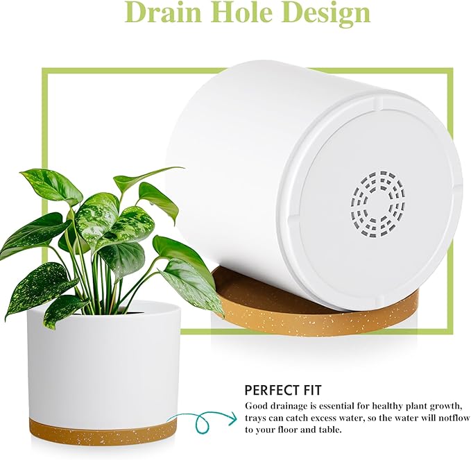 Large Plant Pots Set of 3 – 8 9 10 Indoor Flower Pots with Drainage Holes and Saucers Big Planters for Monstera Fiddle Leaf Fig Snake Plant – 5 Colors