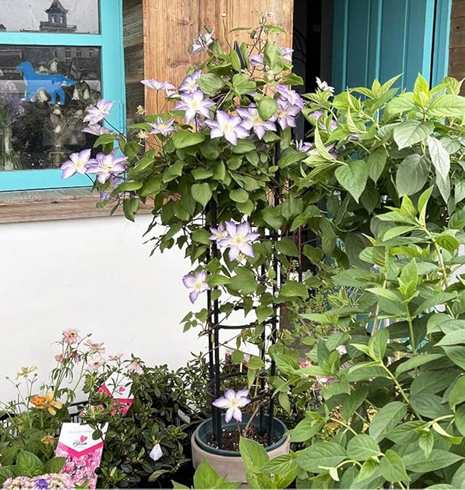 Garden Trellis Obelisk Plant Support Plastic Coated for Outdoor Indoor Potted Plants Tomato Rose - 1 Pc (Size : 30cm/11.8in Color : 210cm/82.6in)