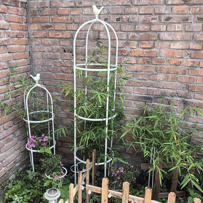 Outdoor Plants Trellis Garden Obelisk Clematis Roses &amp Vegetables Trellis - Plant Cage Flower Shelf for Climbing Plants Roses Vines(Black14.2x65in/36x165cm)