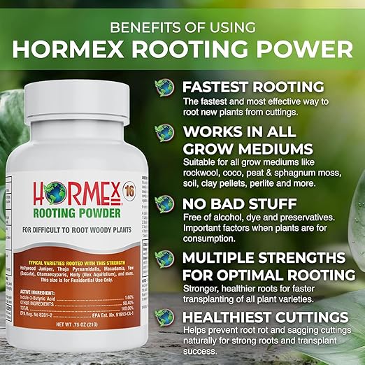 Hormex Rooting Powder #16 &amp Rooting Cubes Combo - Rooting Hormone for Hardwood Cuttings &amp Organic Peat Moss Coco Plugs - Fast Healthy Root Growth for Propagation Hydroponics &amp Seed Star