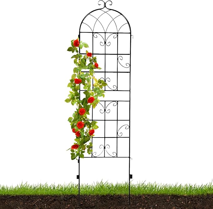 59x20″/71x20″ Metal Garden Trellis Decorative Climbing Plant Fence Freestanding Garden Trellis Plant Support Frame for Tomatoes Vegetables Flowers Fruits (Color : Black Size : 180x50cm)