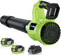 Leaf Blower Cordless - 650 CFM 150 MPH Electric Leaf Blower with 2 x 4.0Ah Batteries &amp Fast Charger 2-Speed Settings Lightweight Battery Leaf Blowers for Lawn Care Patio Dust(Green)